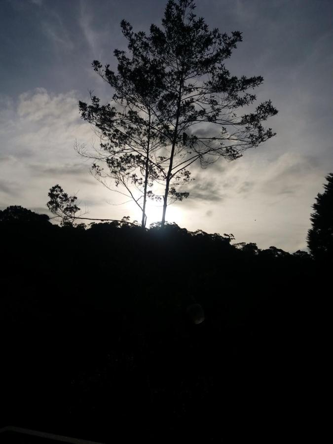 Quinta Los Volcanes Turrialba Buitenkant foto
