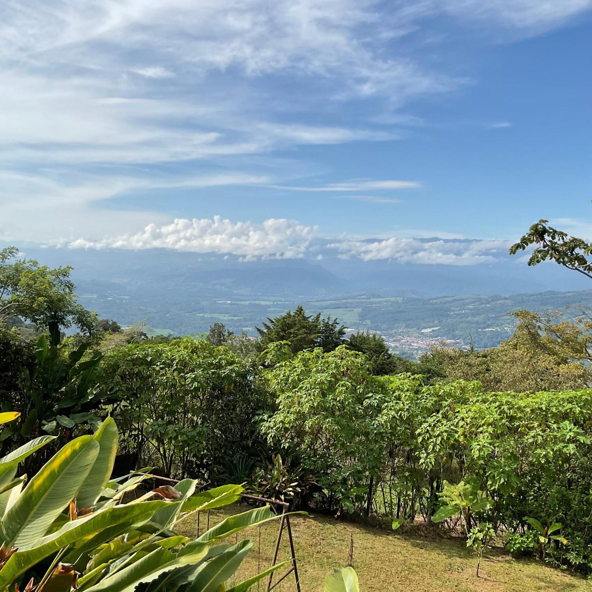 Quinta Los Volcanes Turrialba Buitenkant foto