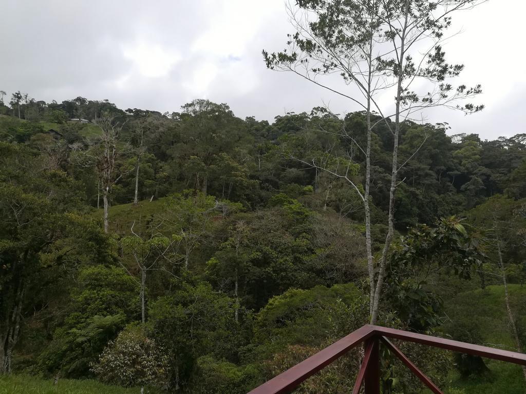 Quinta Los Volcanes Turrialba Buitenkant foto
